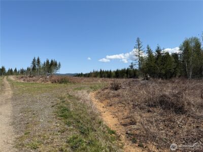 3 XX Centralia Alpha Road , Onalaska, WA 98570 - Photo 11