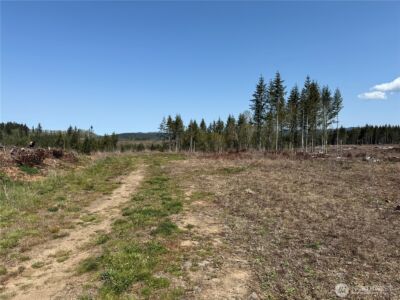 3 XX Centralia Alpha Road , Onalaska, WA 98570 - Photo 12