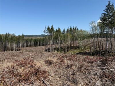 3 XX Centralia Alpha Road , Onalaska, WA 98570 - Photo 5