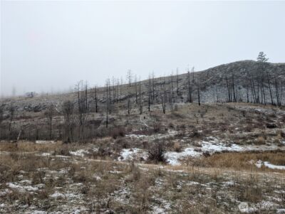 20 Rainbow Road , Oroville, WA 98844 - Photo 17