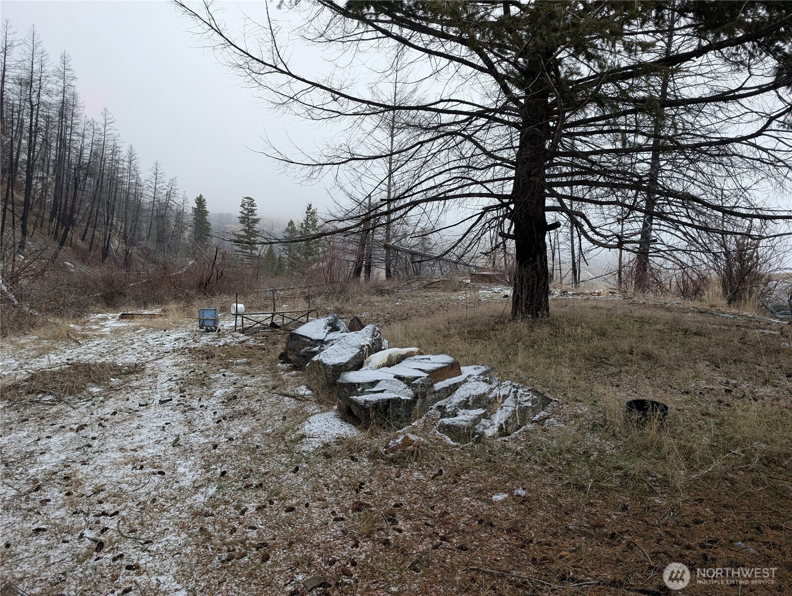 20 Rainbow Road , Oroville, WA 98844