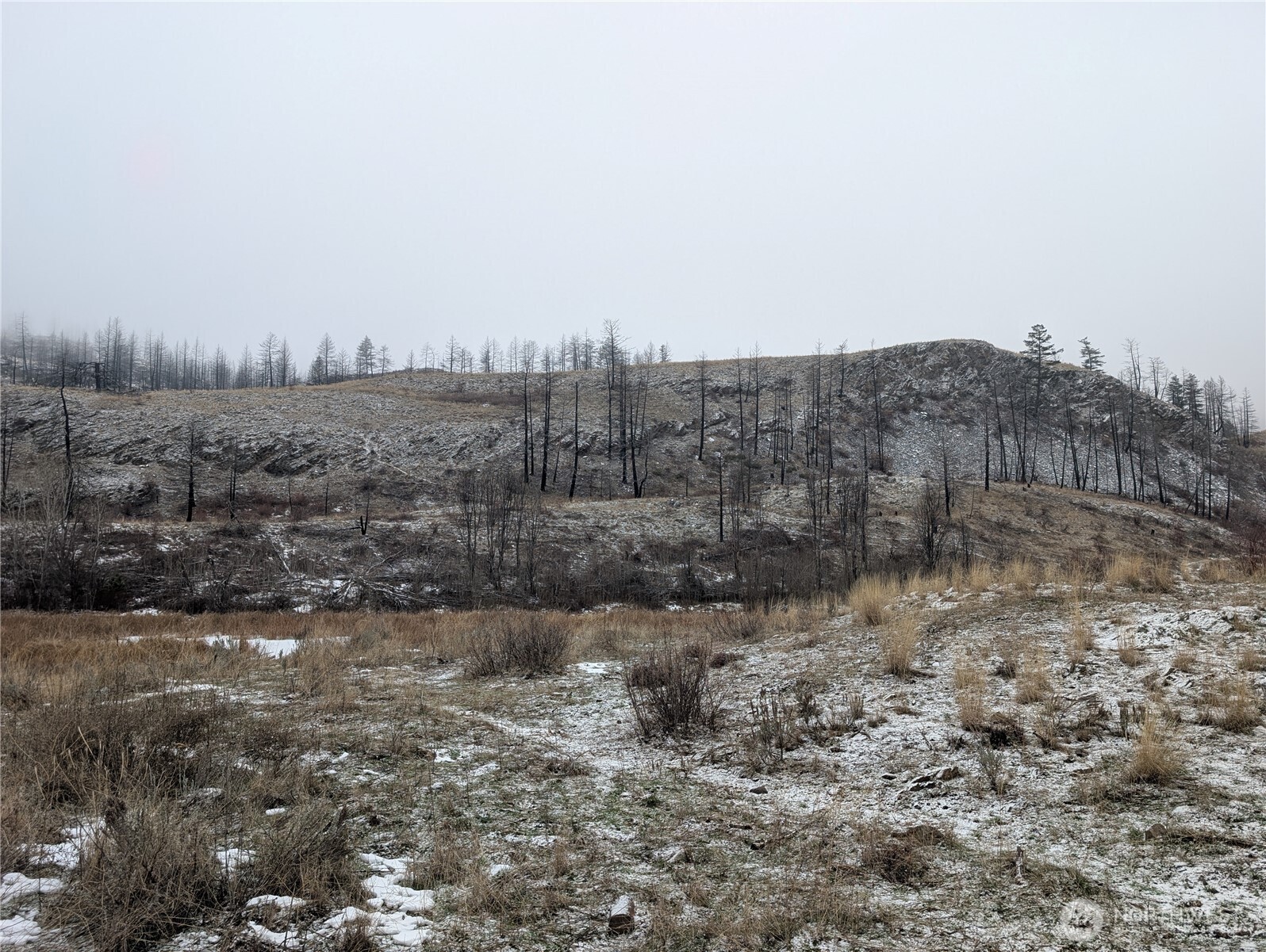 20 Rainbow Road , Oroville, WA 98844