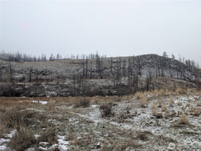 20 Rainbow Road , Oroville, WA 98844 - Photo 6