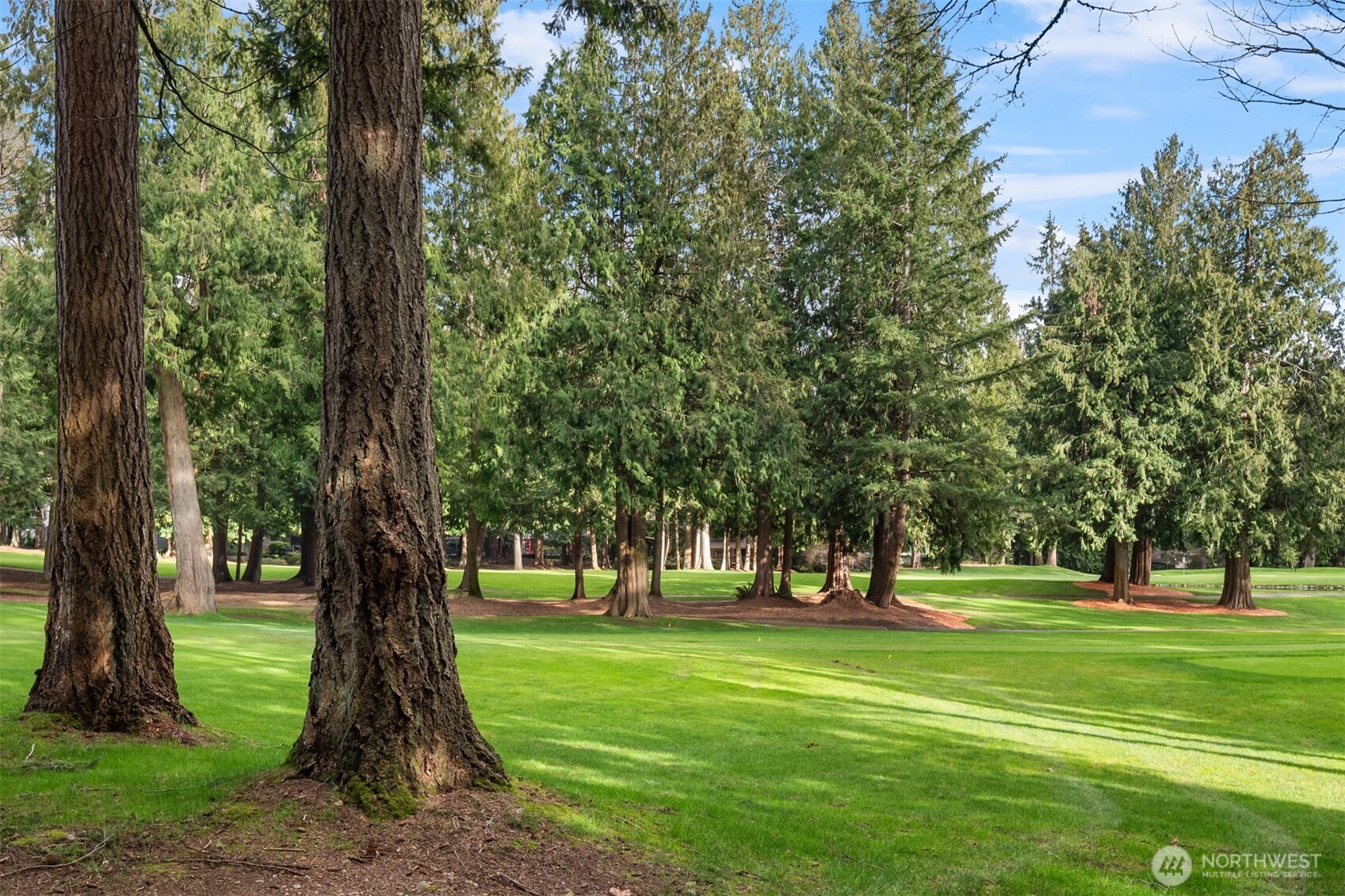 2048 213th Avenue NE, Sammamish, WA 98074