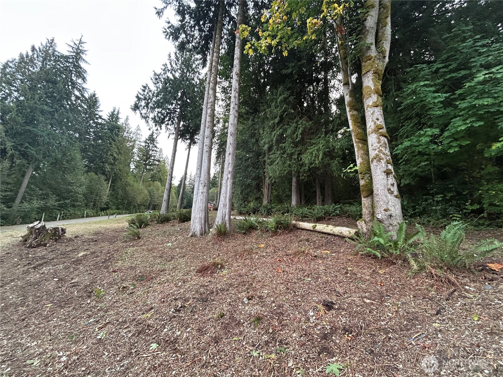 715 Samish Heights Lane , Bellingham, WA 98229