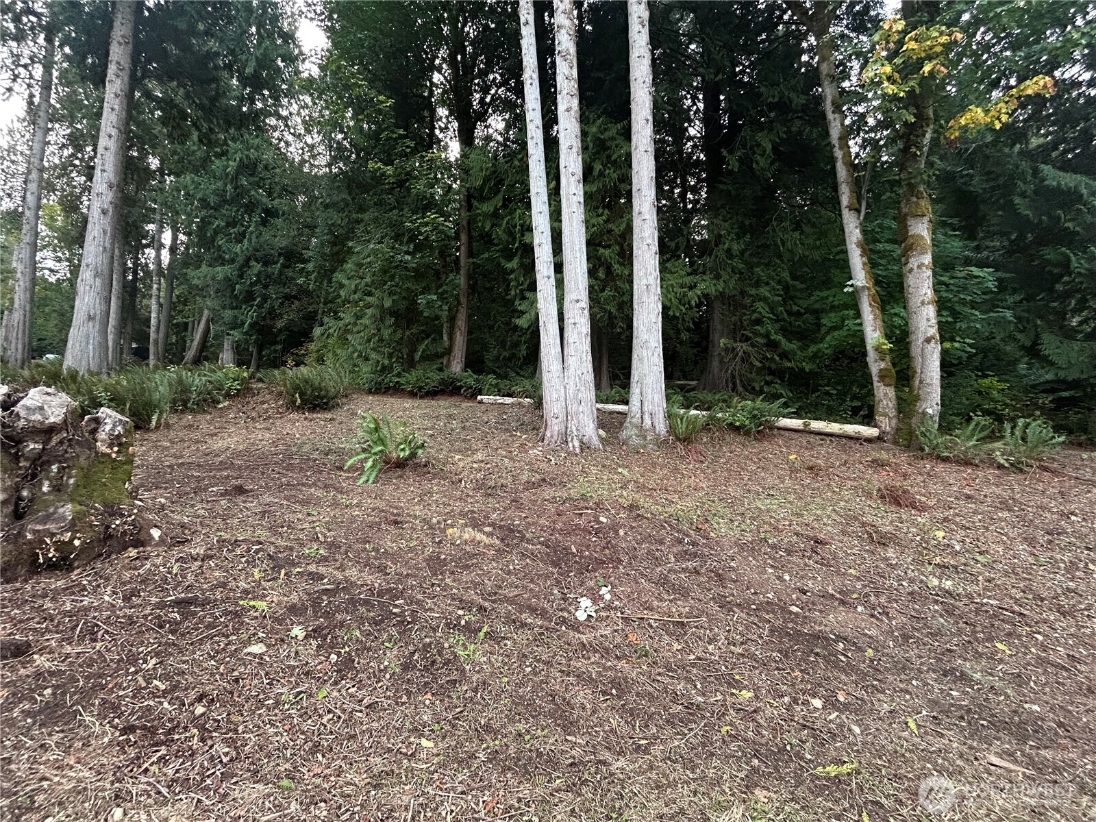 715 Samish Heights Lane , Bellingham, WA 98229