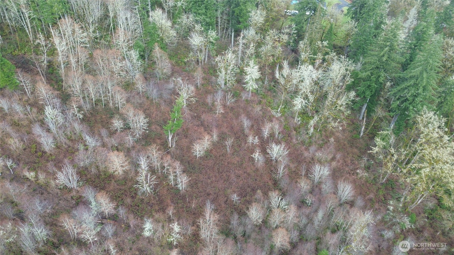 461 Clearwater Road , Kelso, WA 98626