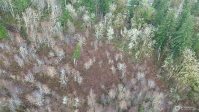 461 Clearwater Road , Kelso, WA 98626 - Photo 12