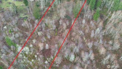 461 Clearwater Road , Kelso, WA 98626 - Photo 13