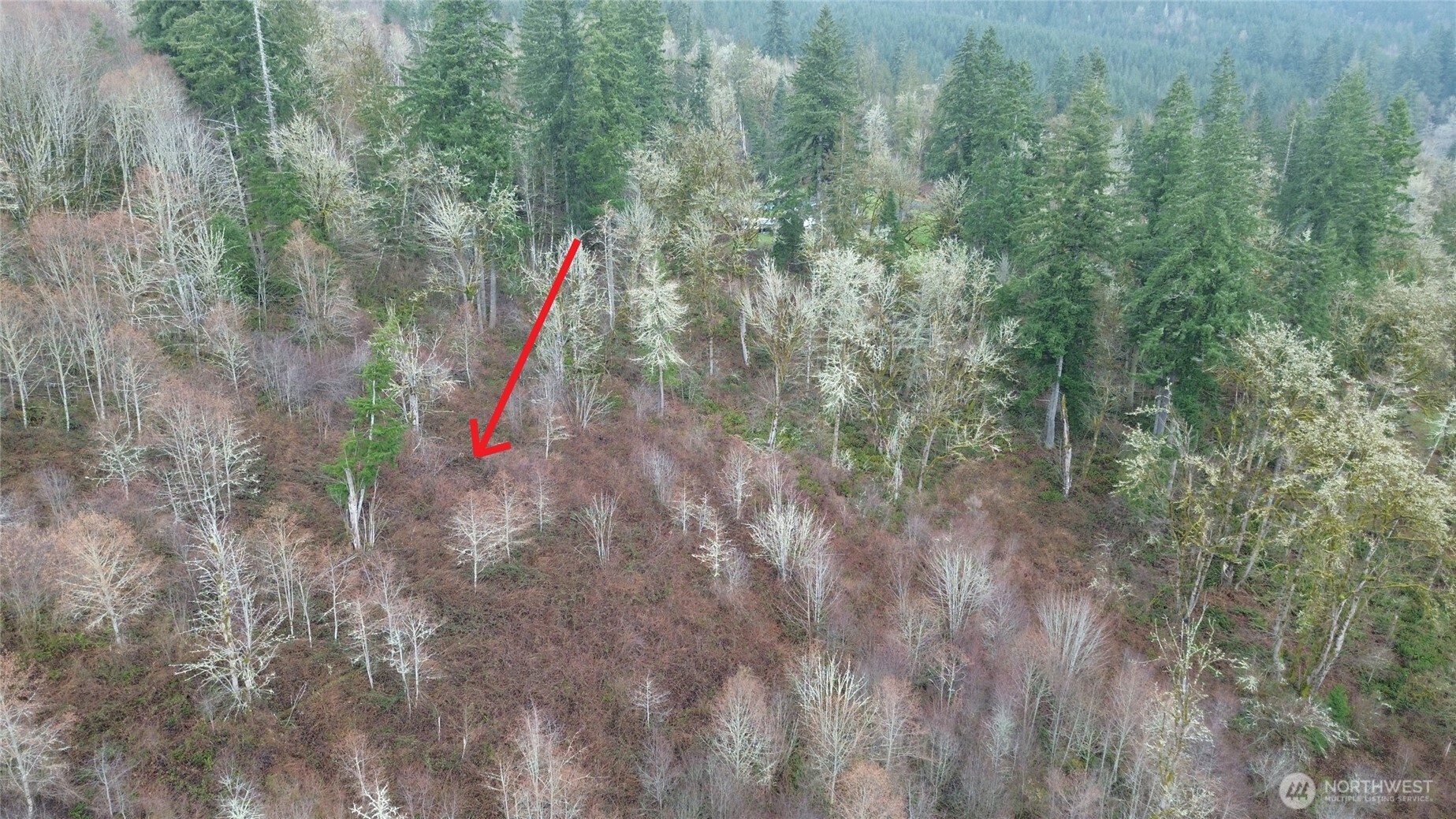 461 Clearwater Road , Kelso, WA 98626