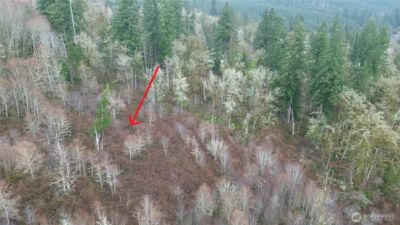 461 Clearwater Road , Kelso, WA 98626 - Photo 14