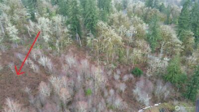 461 Clearwater Road , Kelso, WA 98626 - Photo 15