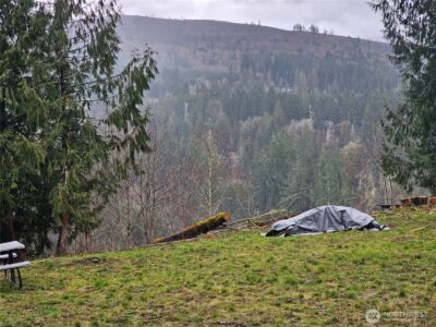 461 Clearwater Road , Kelso, WA 98626 - Photo 17