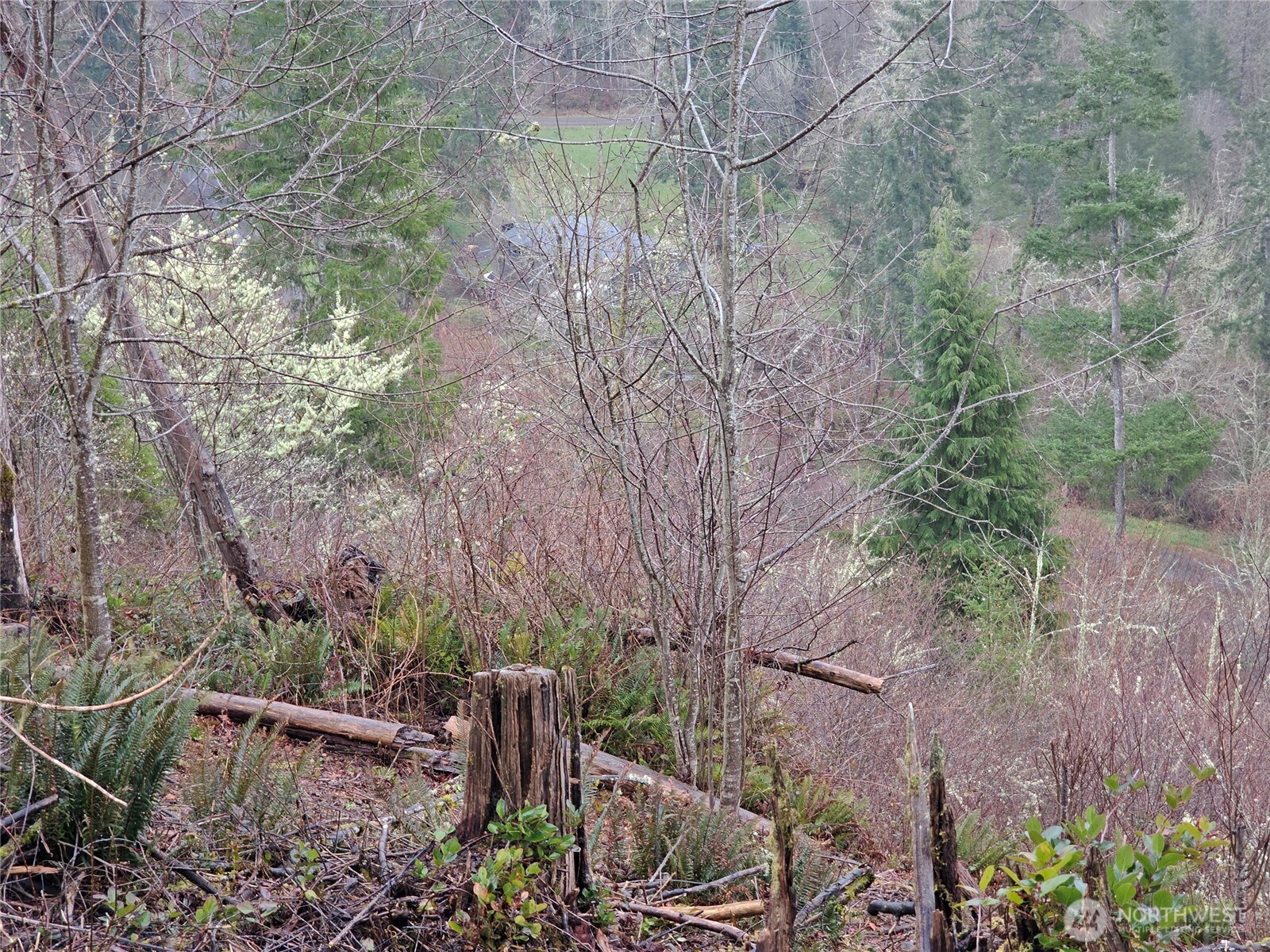 461 Clearwater Road , Kelso, WA 98626