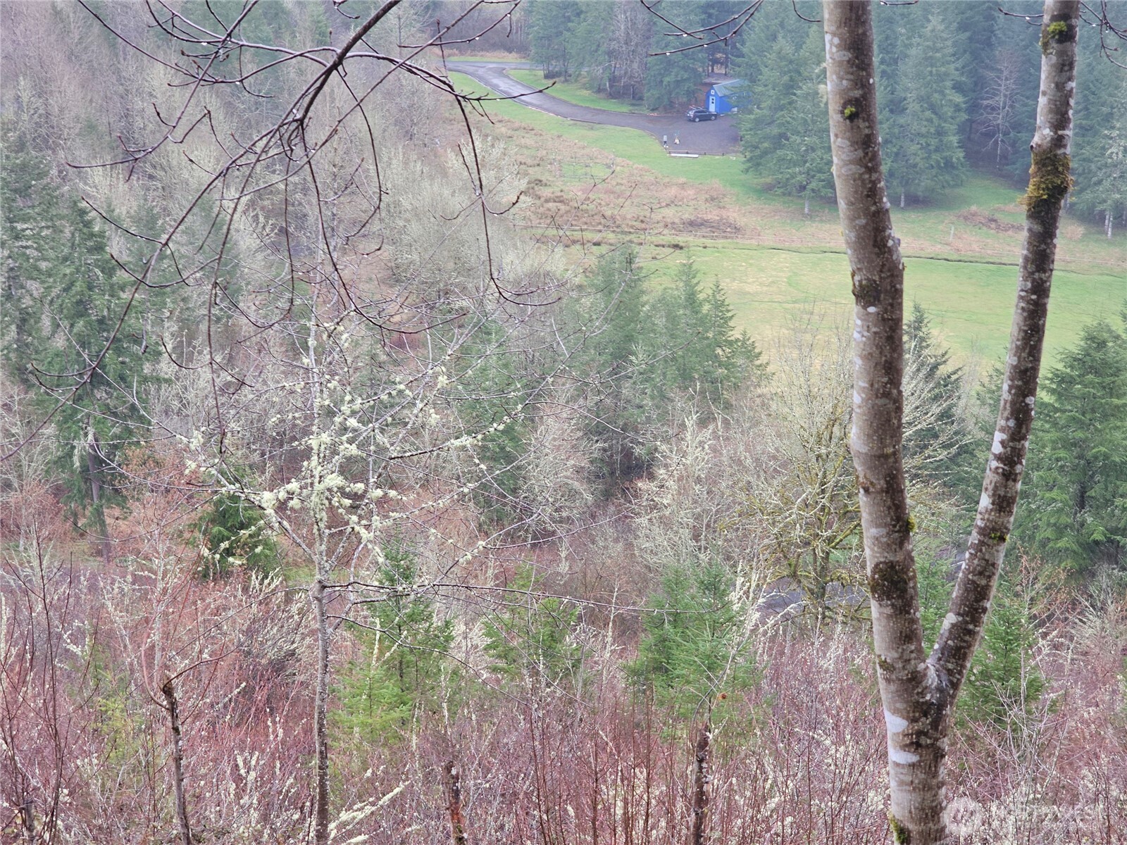 461 Clearwater Road , Kelso, WA 98626