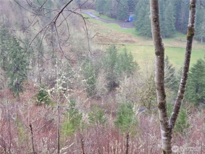 461 Clearwater Road , Kelso, WA 98626 - Photo 20