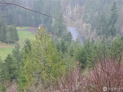 461 Clearwater Road , Kelso, WA 98626 - Photo 21