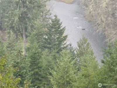 461 Clearwater Road , Kelso, WA 98626 - Photo 22