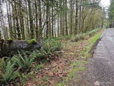 461 Clearwater Road , Kelso, WA 98626 - Photo 25