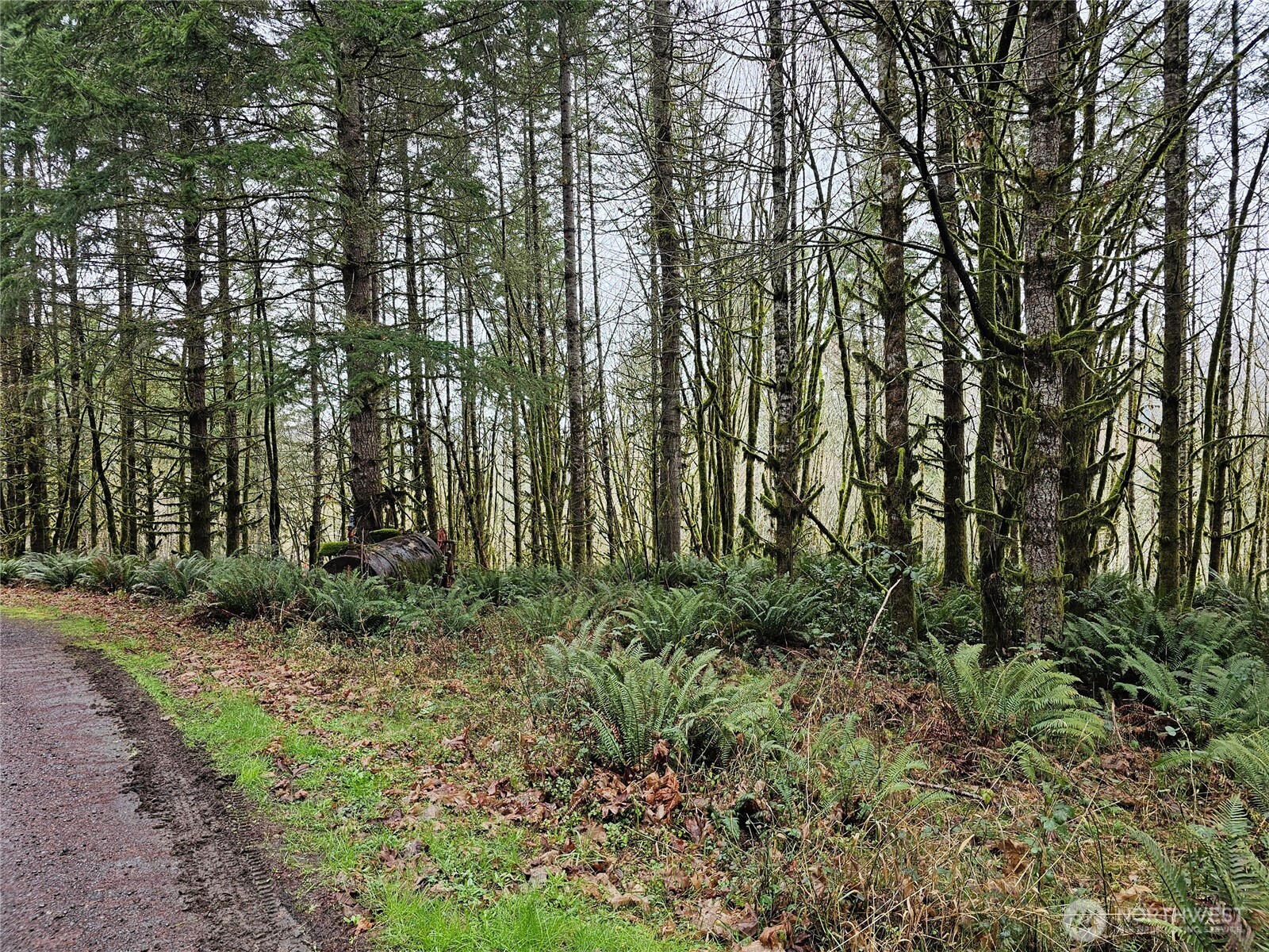 461 Clearwater Road , Kelso, WA 98626