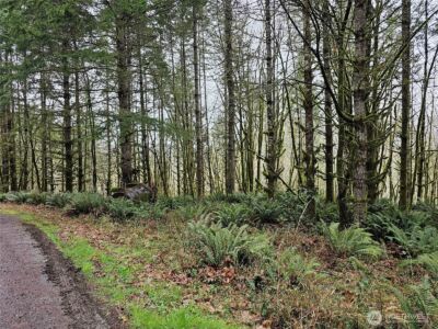 461 Clearwater Road , Kelso, WA 98626 - Photo 27