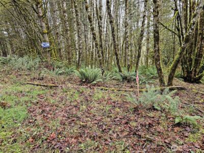 461 Clearwater Road , Kelso, WA 98626 - Photo 32