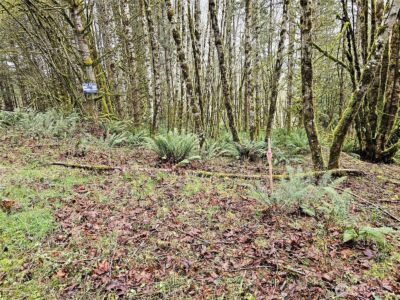 461 Clearwater Road , Kelso, WA 98626 - Photo 5