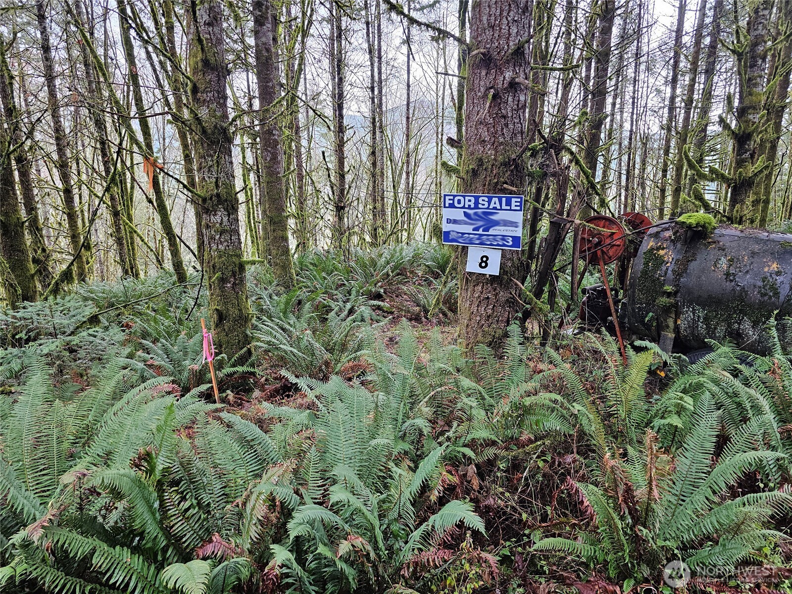 461 Clearwater Road , Kelso, WA 98626