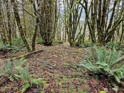 461 Clearwater Road , Kelso, WA 98626 - Photo 7