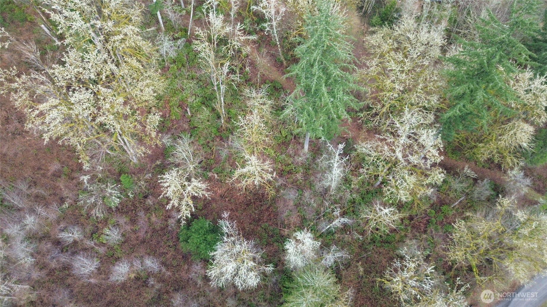 461 Clearwater Road , Kelso, WA 98626