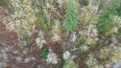 461 Clearwater Road , Kelso, WA 98626 - Photo 8