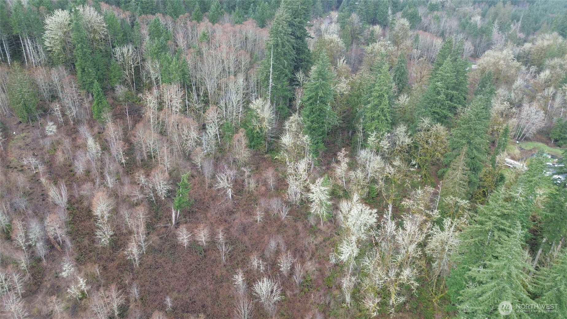 461 Clearwater Road , Kelso, WA 98626