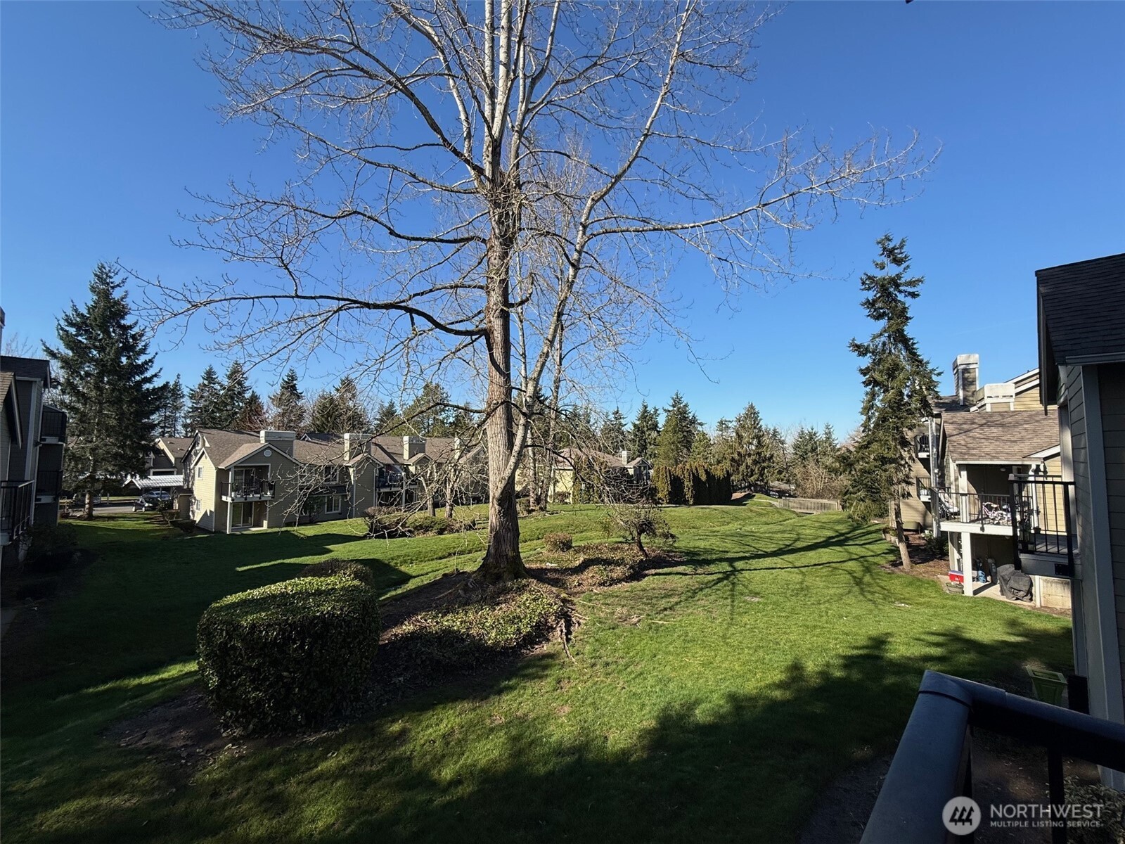 1840 S 284th Lane #H-203, Federal Way, WA 98003