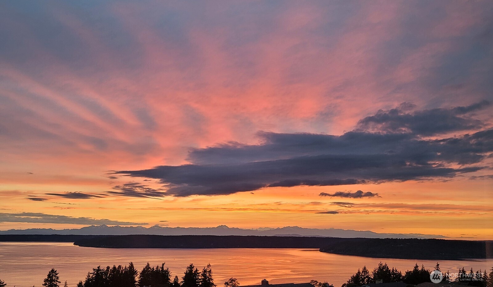 1705 61st Street NE, Tacoma, WA 98422