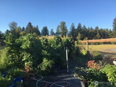 246 27 Walker Road , Toledo, WA 98591-9419 - Photo 37