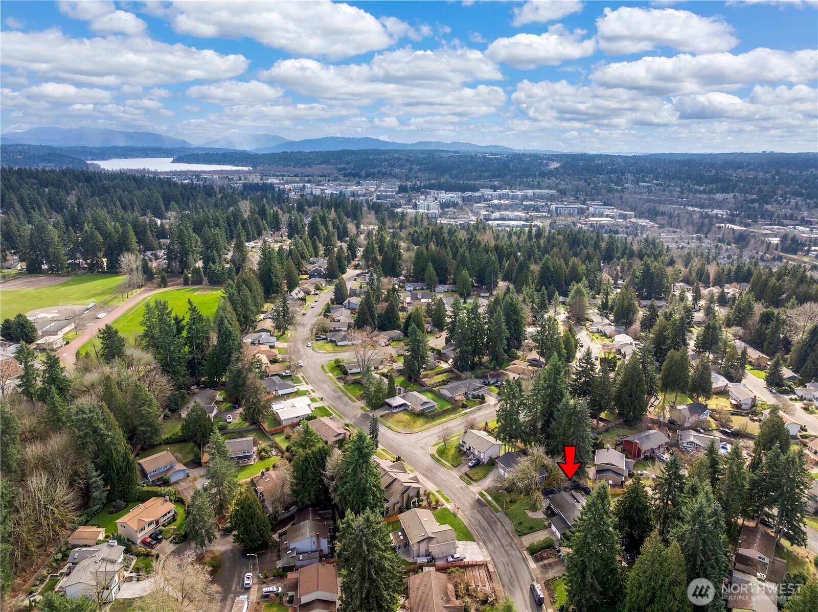 10315 163rd Avenue NE, Redmond, WA 98052