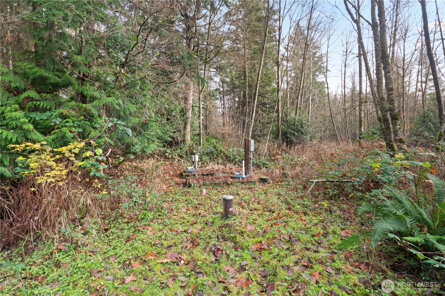 2031 Camber Lane , Blaine, WA 98230