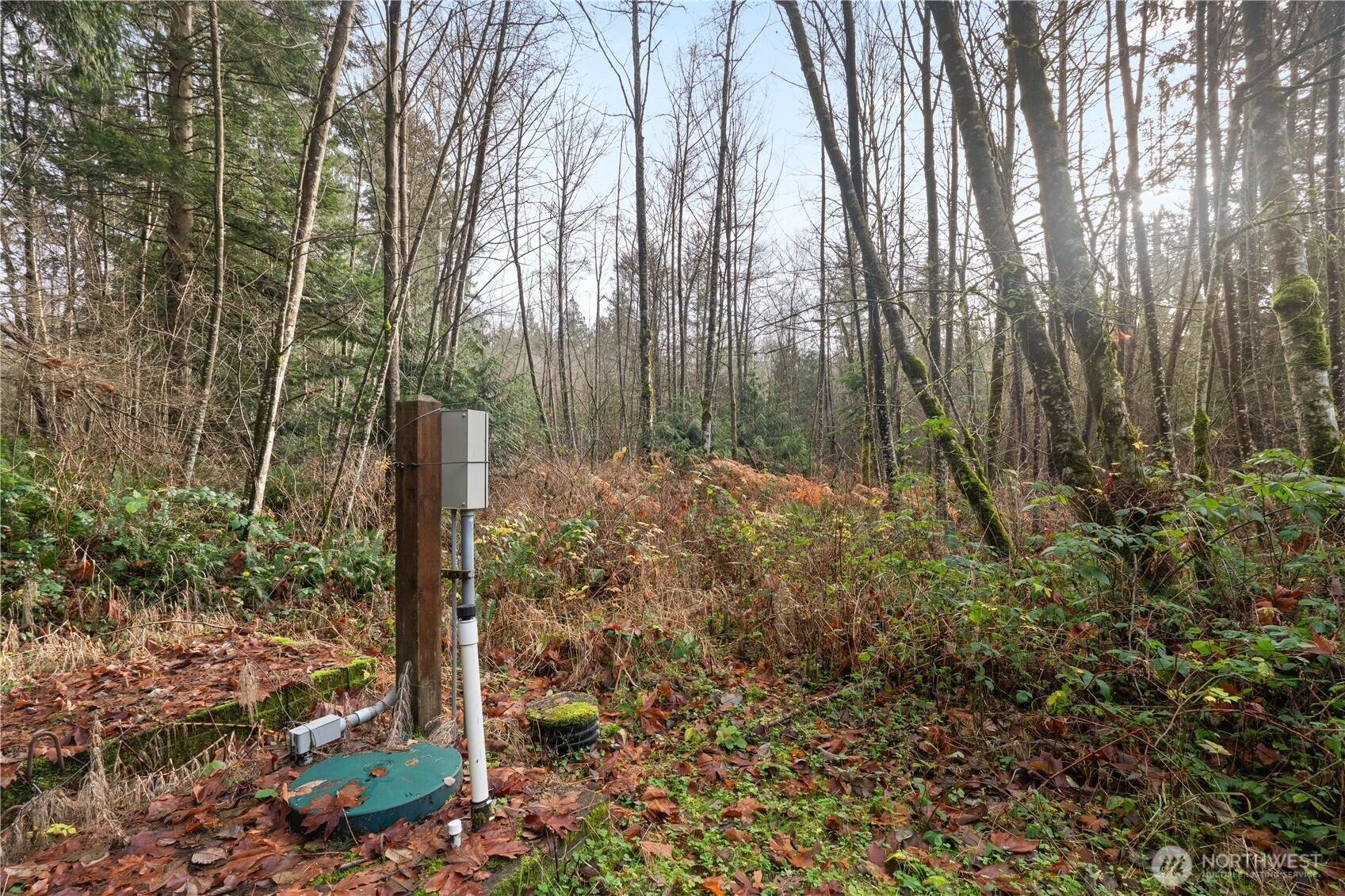 2031 Camber Lane , Blaine, WA 98230