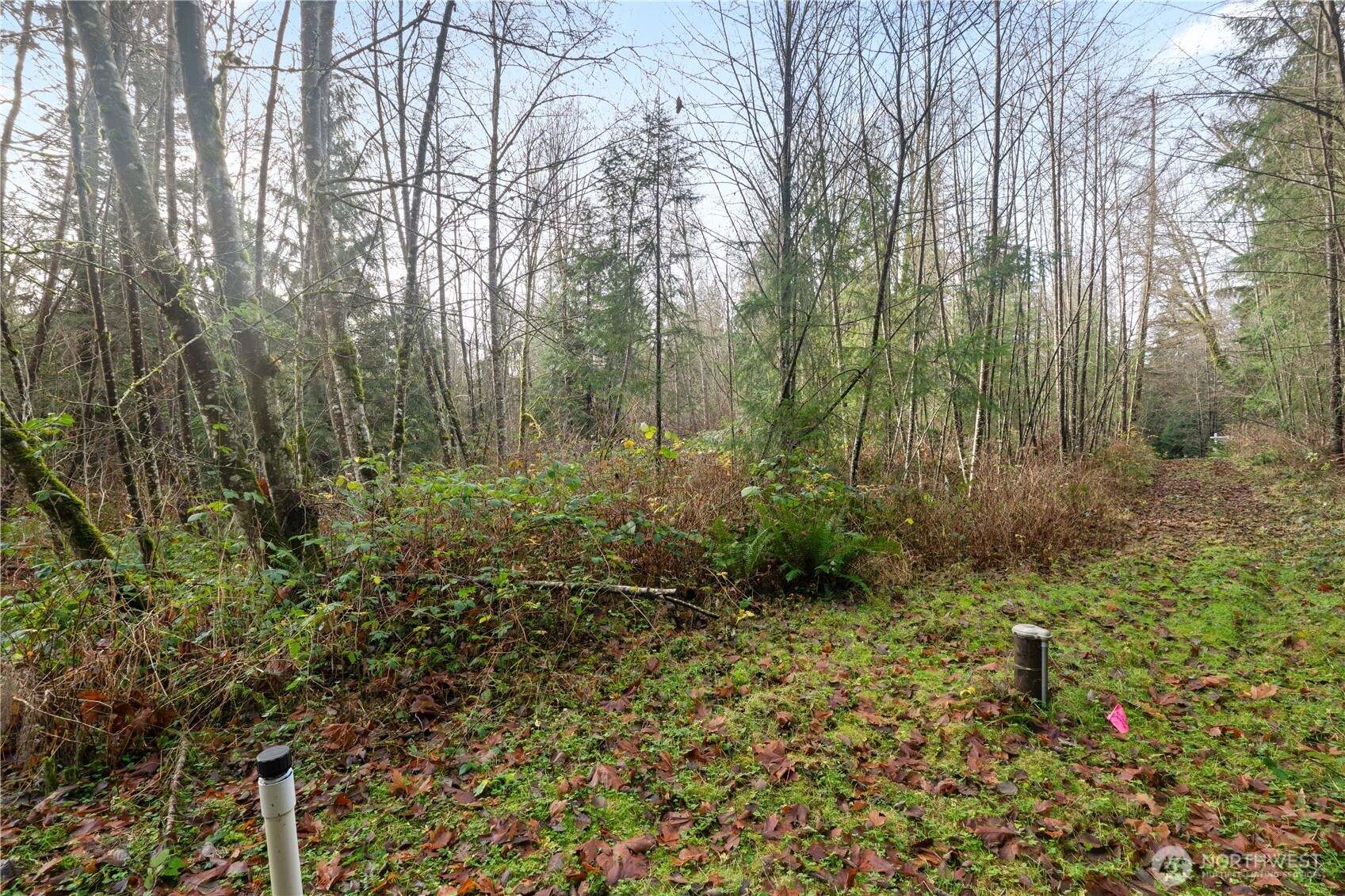 2031 Camber Lane , Blaine, WA 98230