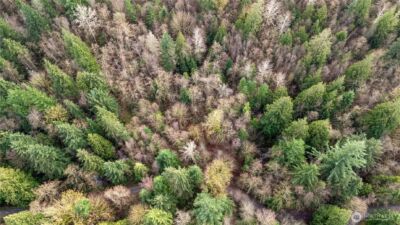 2031 Camber Lane , Blaine, WA 98230 - Photo 2