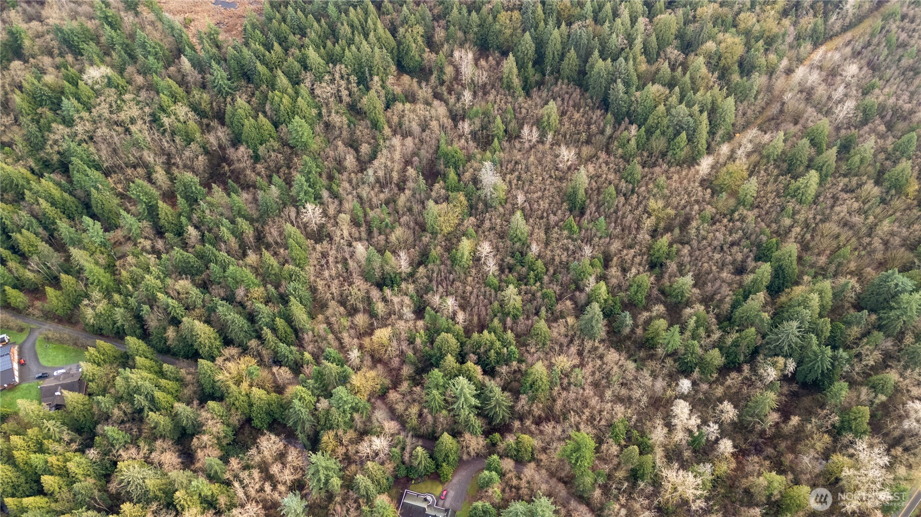 2031 Camber Lane , Blaine, WA 98230