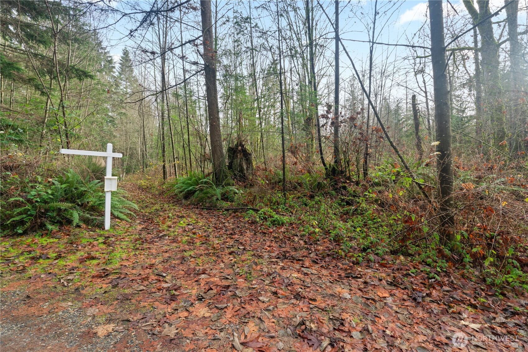 2031 Camber Lane , Blaine, WA 98230