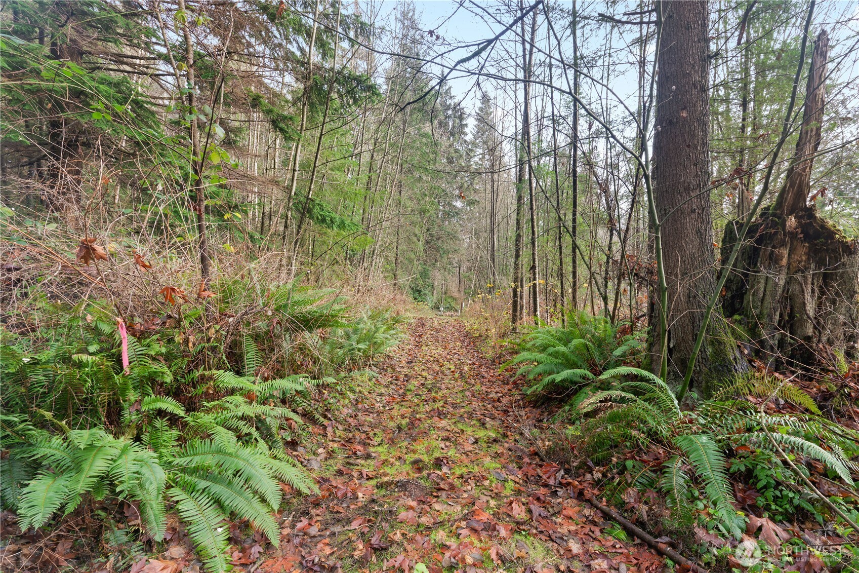 2031 Camber Lane , Blaine, WA 98230