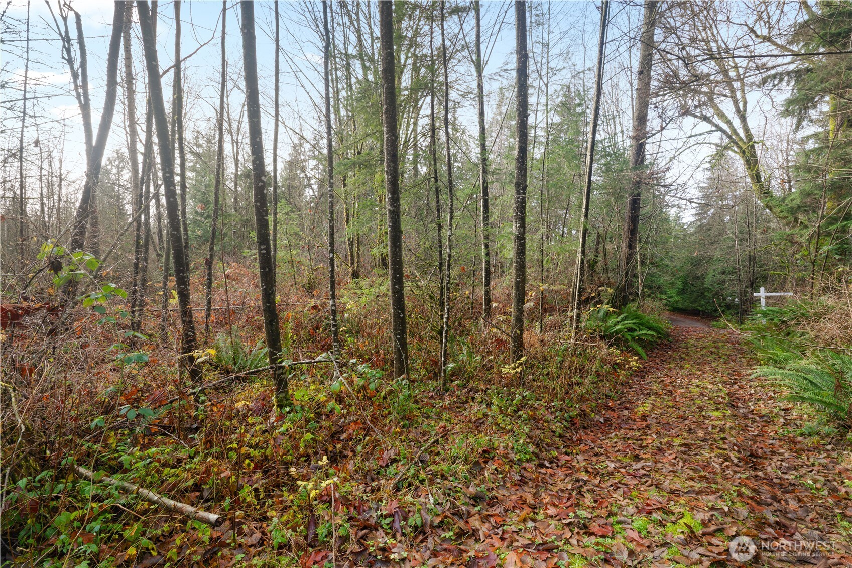 2031 Camber Lane , Blaine, WA 98230