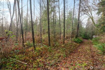 2031 Camber Lane , Blaine, WA 98230 - Photo 10