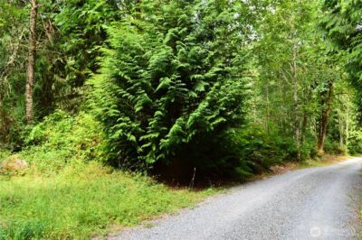 954 Kings View Lane , Sedro Woolley, WA 98284 - Photo 11