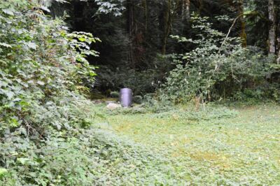 954 Kings View Lane , Sedro Woolley, WA 98284 - Photo 13