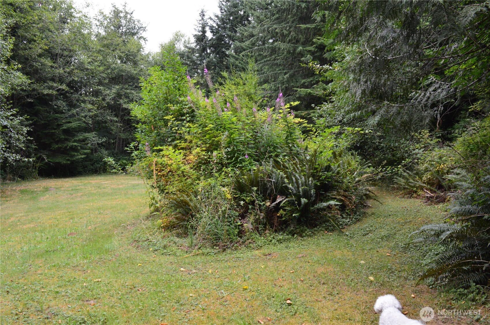 954 Kings View Lane , Sedro Woolley, WA 98284