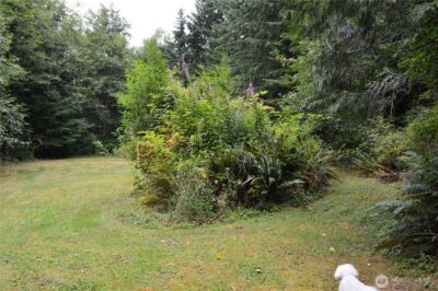 954 Kings View Lane , Sedro Woolley, WA 98284 - Photo 22