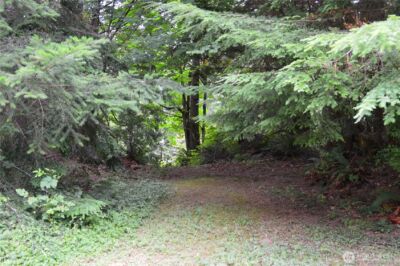 954 Kings View Lane , Sedro Woolley, WA 98284 - Photo 28